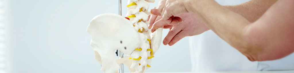 Understanding Chiropractic Adjustments: What They Are and How They&nbsp;Work